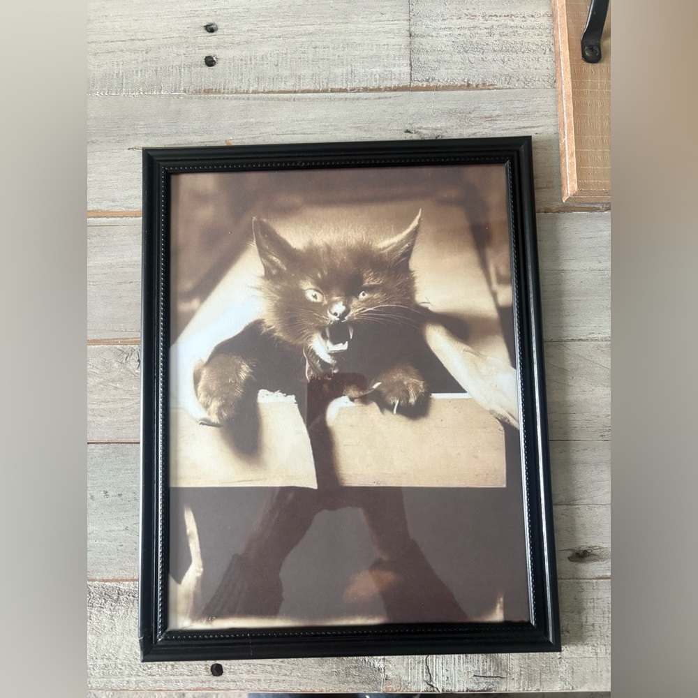 The Purr of Dracula (3) Framed 8x10”